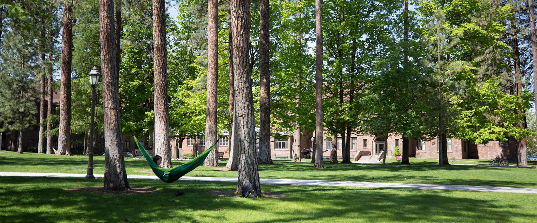 On campus, tall pine trees spread out over the grounds. Between the trees, students sit in hammocks reading.