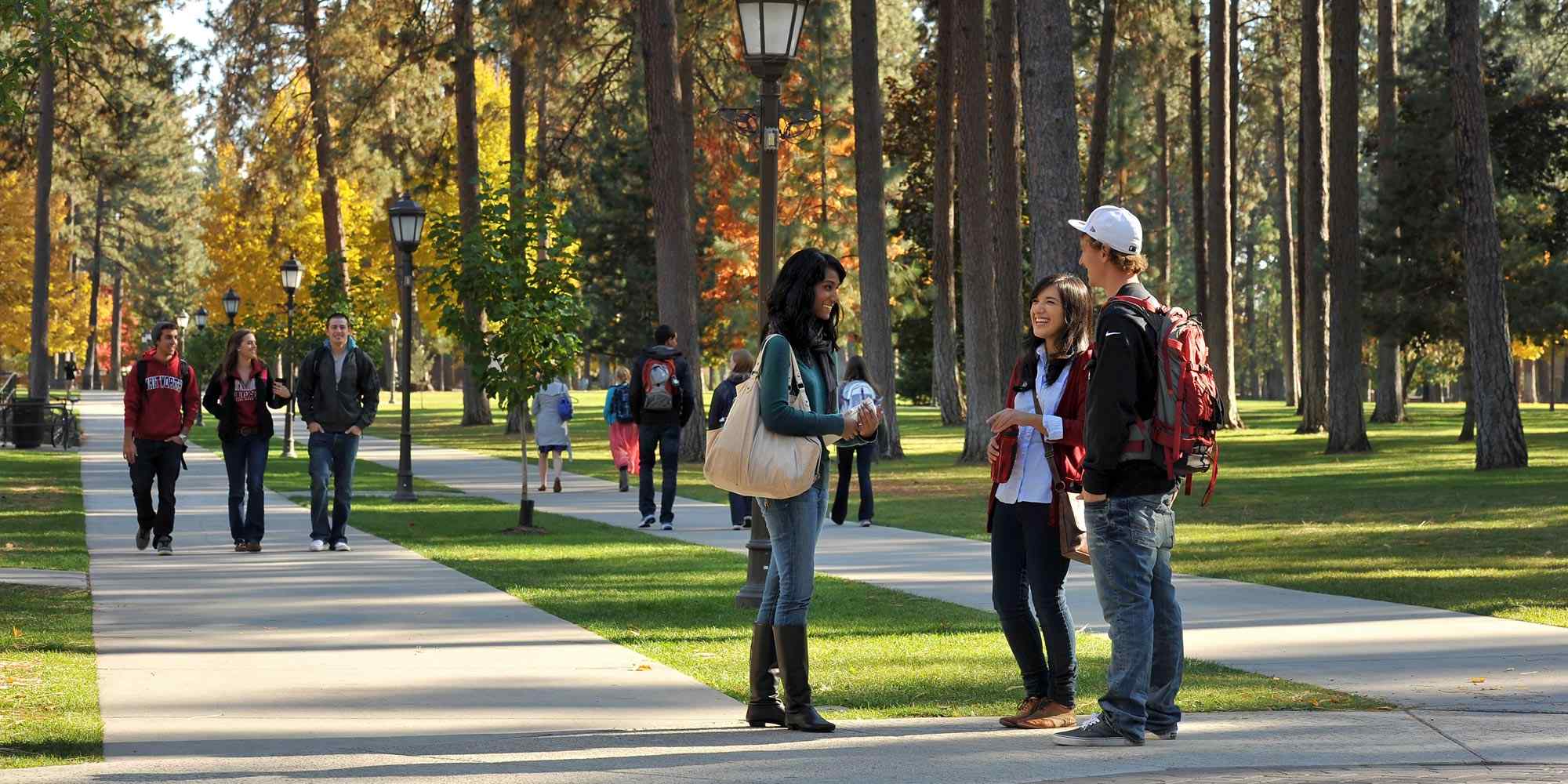 Three students stand together laughing and talking. Behind them students walk through campus with towering pine trees.