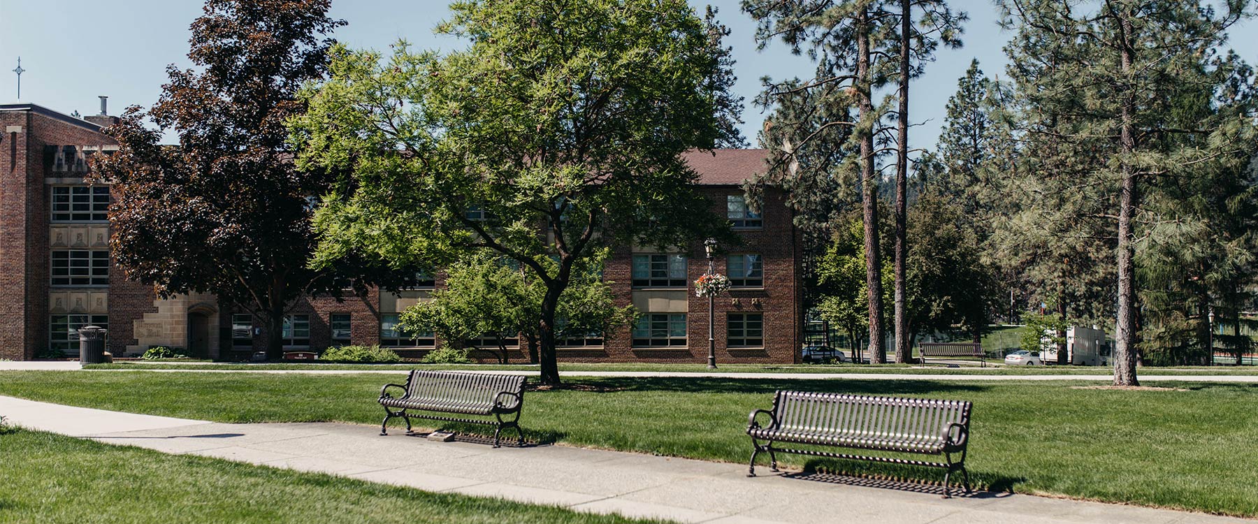 Two benches along a path between manicured lawns with trees and academic buildings in the background.