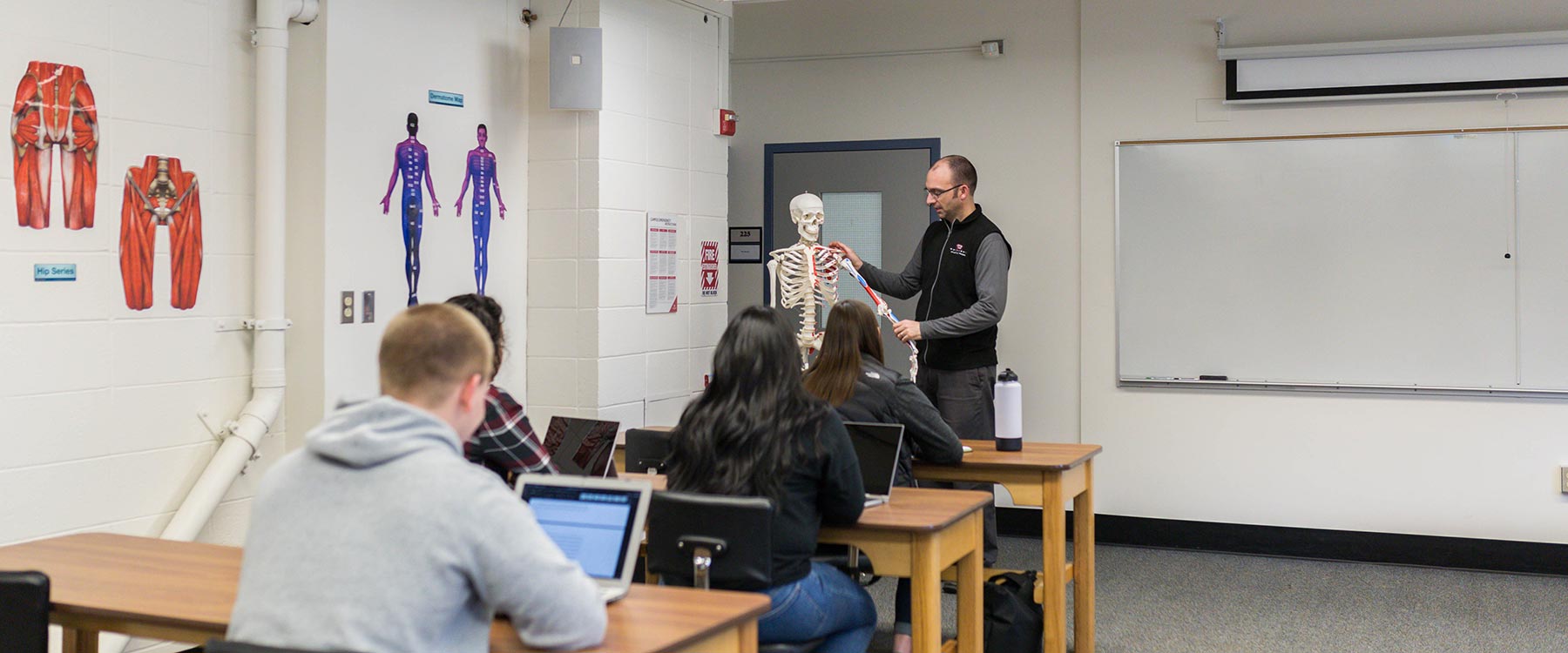Instructor teaching anatomy using a skeleton model to a class of students in a classroom.
