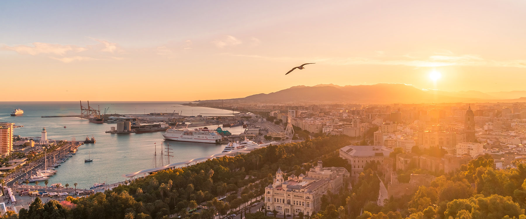 A panoramic view of a coastal city at sunset, with a bird flying over the harbor and mountains in the background.