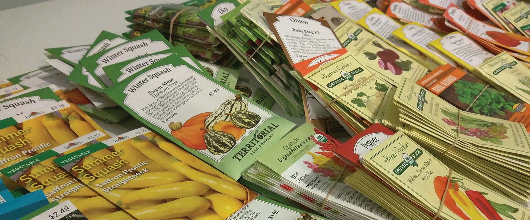 A close-up of vegetable seed packets bundled by type.