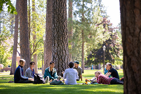 A group of young people sit in a circle on the grass under stately pines in a park-like setting.