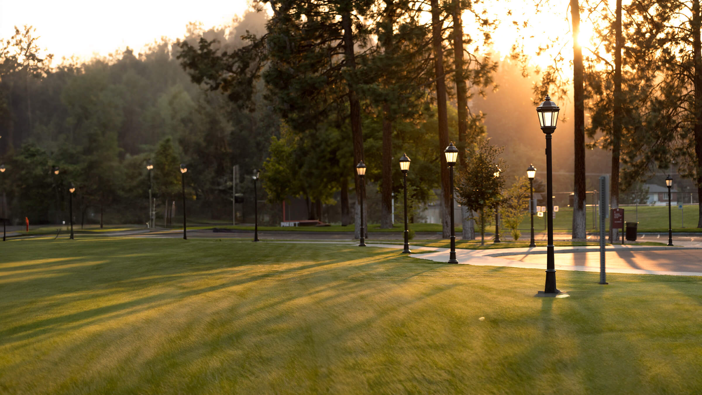 Long shadows fall on manicured grass between tall trees and lit lamp posts in the morning.