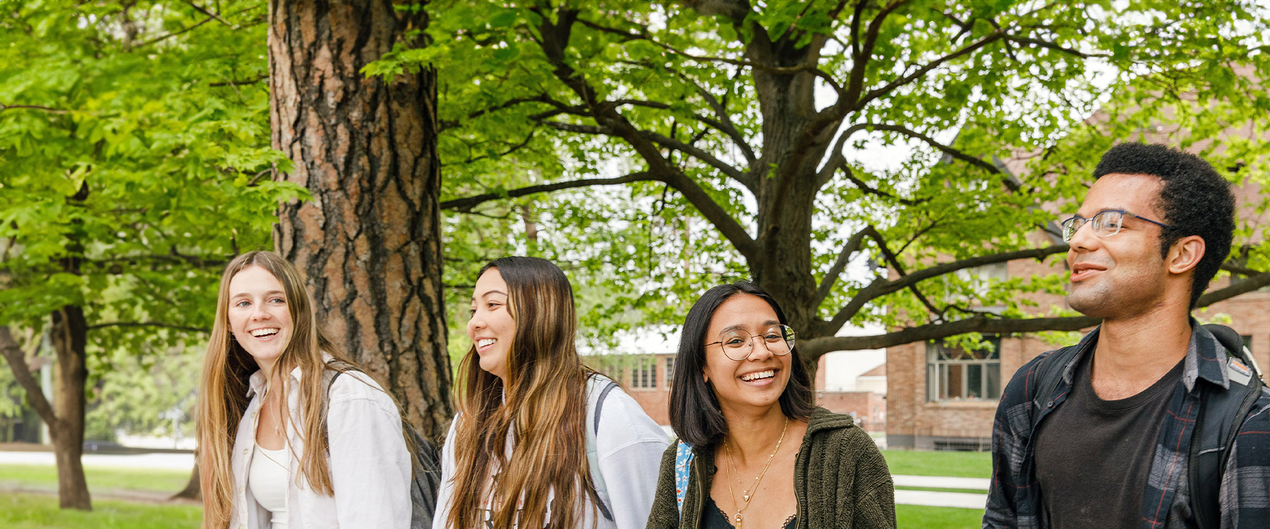 Four students, engaged in conversation, walk down a tree-lined path on the Whitworth campus.