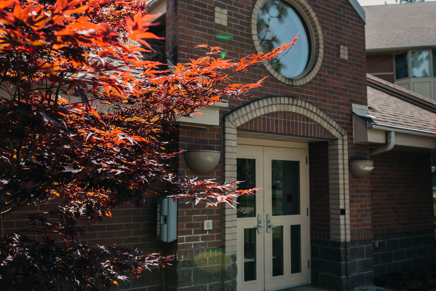 Close-up of the entry doors to a stately brick residence hall with a nearby red maple tree catching sunlight.