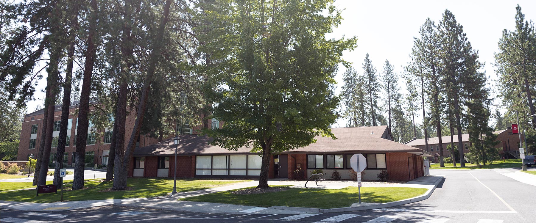 Two red-brick buildings surrounded by tall pine trees and a crosswalk in the foreground.