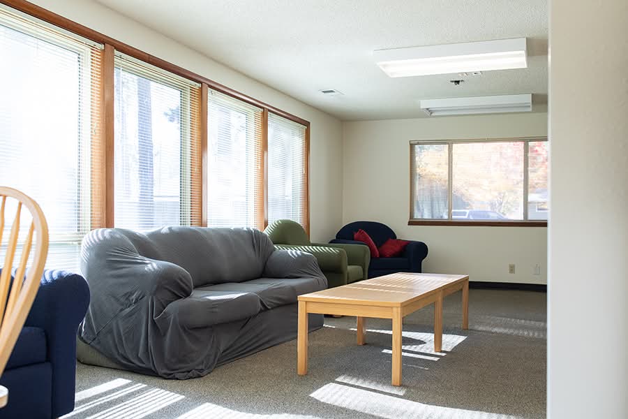 Bright living room with several large windows, gray carpet, and multiple sofas and chairs.