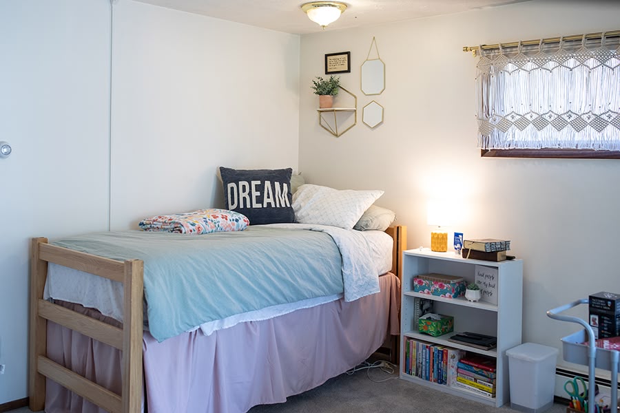 Large bedroom with a single bed, bookshelf, decorative wall art, and a small egress window.