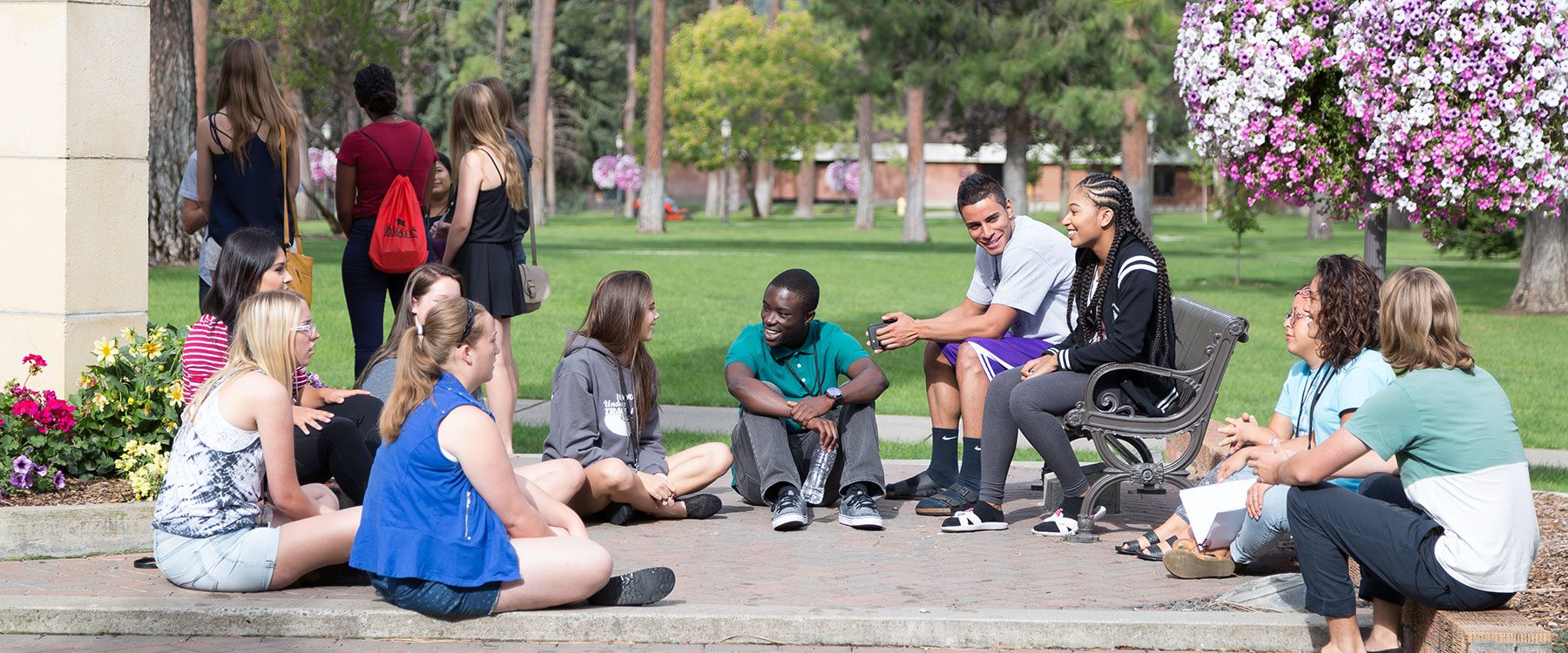 A diverse group of students sitting and talking in a grassy outdoor area on a sunny day.