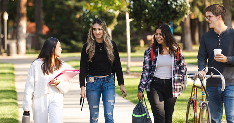 Four students, engaged in conversation, walk down a tree-lined path on the Whitworth campus.